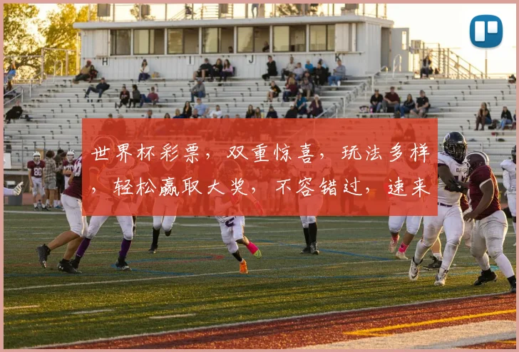 世界杯彩票，双重惊喜，玩法多样，轻松赢取大奖，不容错过，速来体验
