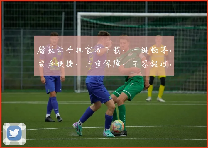 蘑菇云手机官方下载，一键畅享，安全便捷，三重保障，不容错过，速来体验
