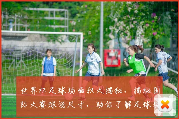 世界杯足球场面积大揭秘，揭秘国际大赛球场尺寸，助你了解足球场规模